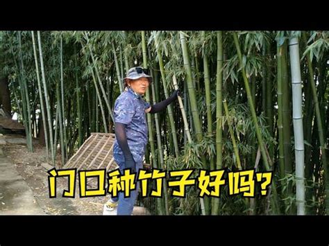 家裡可以種竹子嗎|竹子在室內怎麼種